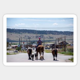 Woman Riding Horse With 3 Dogs and 2 Horses Sticker